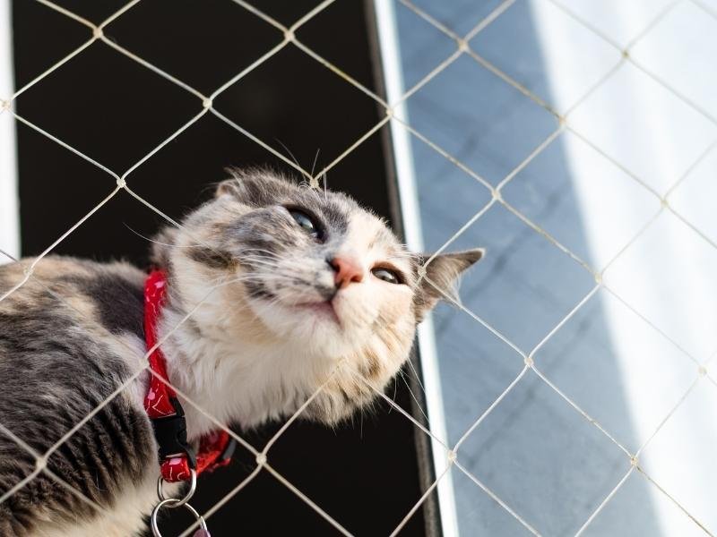 Telas de proteção para condomínios em Sorocaba