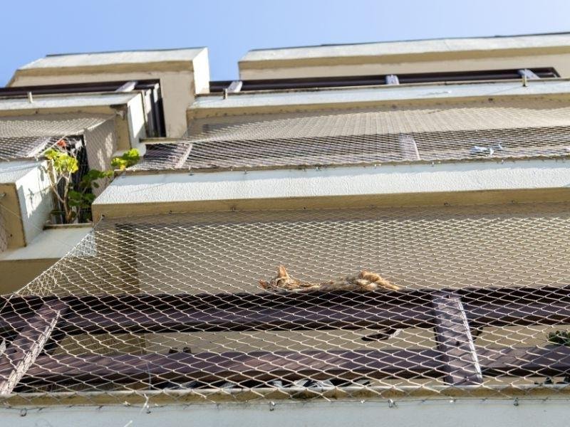 Rede protetiva para Janelas, Sacadas e Piscinas em Sorocaba Rede protetiva para Janelas, Sacadas e Piscinas em Sorocaba