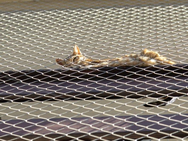 Telas de Segurança para Janelas Ibiúna Redes de Proteção Ibiúna
