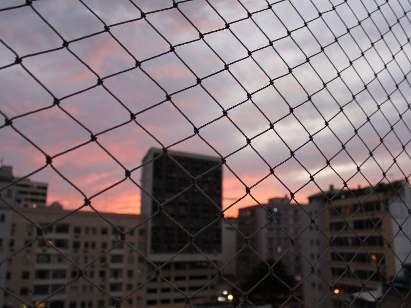 Tela de Proteção para Janelas em Ibiúna Tela de Proteção para Janelas em Ibiúna