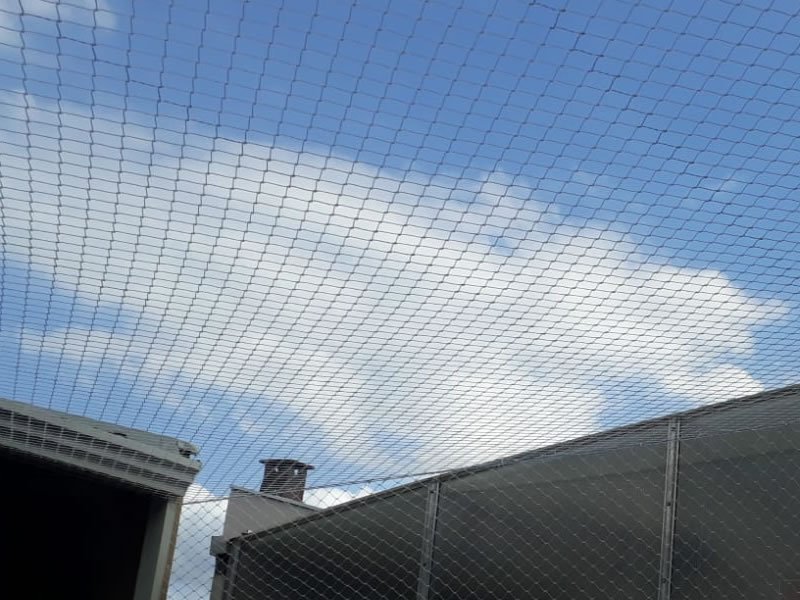 Redes de Proteção em Ibiúna Telas de Proteção em Ibiúna